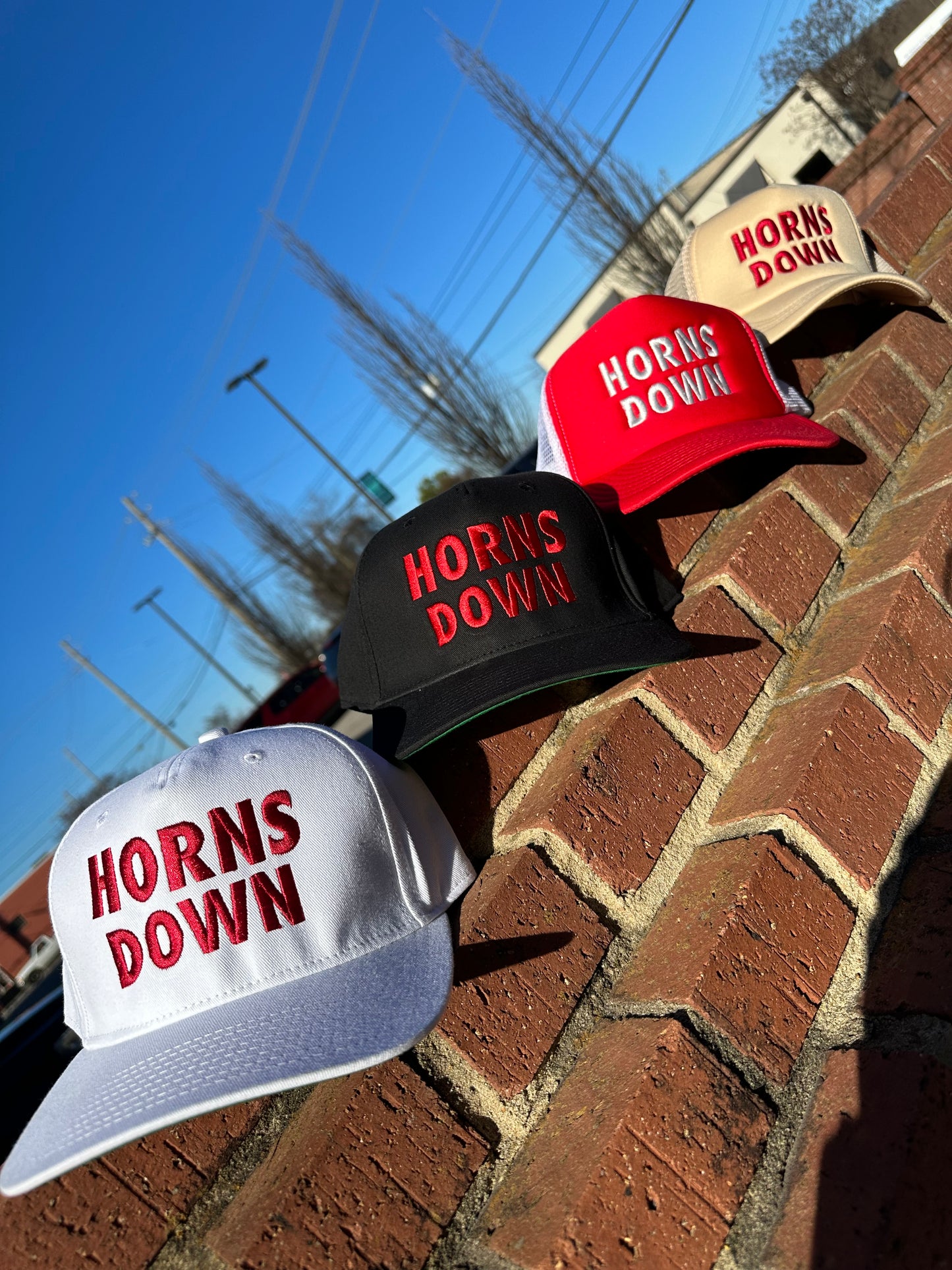 Horns Down Game Day Hat